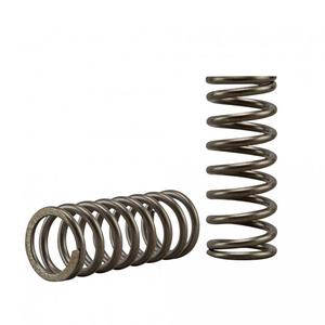 Kit arcuri ambreiaj EBC CSK264 5