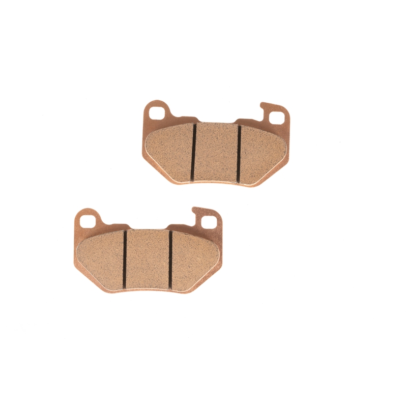 Placute de frana GOLDFREN S3