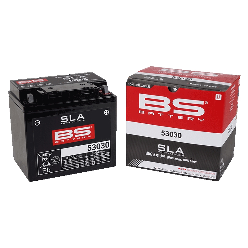 Baterie activata din fabrica BS-BATTERY