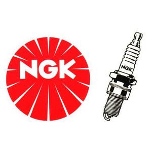 Bujie NGK BR10EG Race