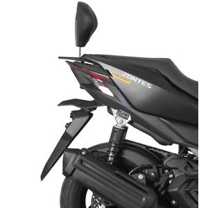 Sistem de fixare SHAD pentru spatar SHAD